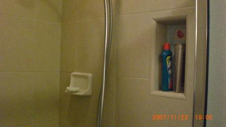 New Master Shower Nook