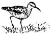 LOGO1.JPG (2815 bytes)